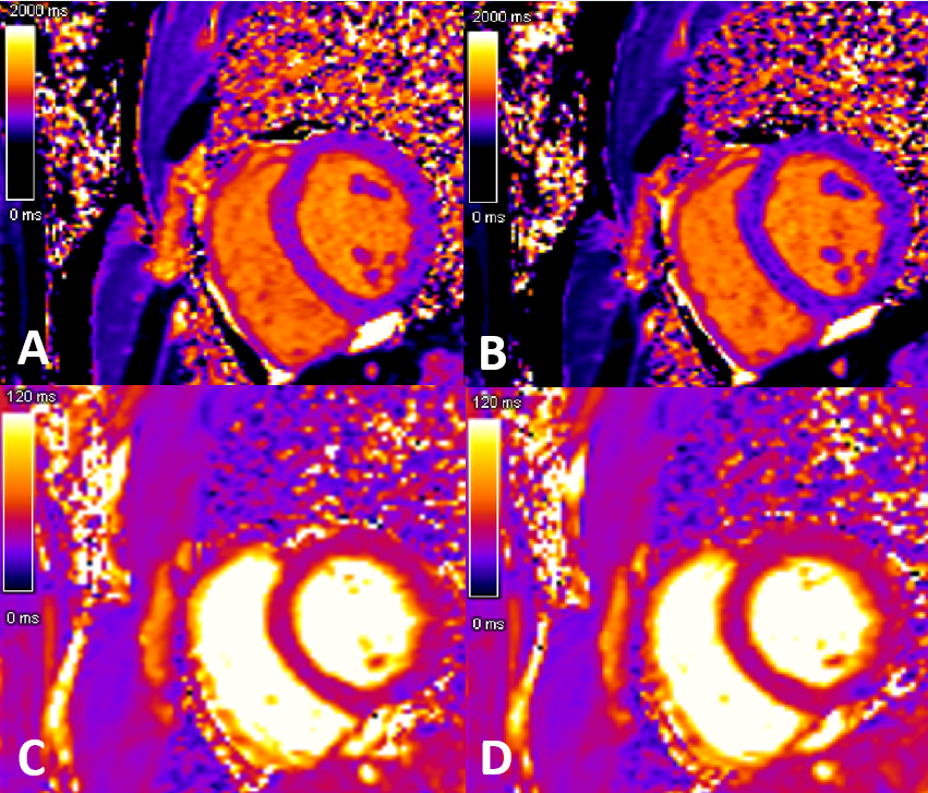 A collage of images of a pregnant person Description automatically generated
